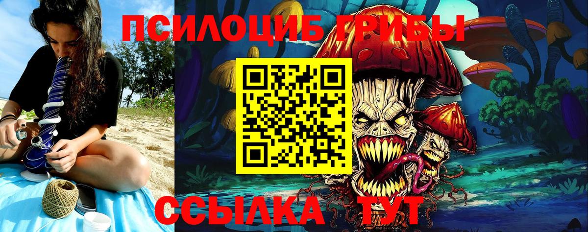 купить наркотики цена  Псилоцибиновые грибы мухоморы  Вход с VPN  Новый Уренгой 