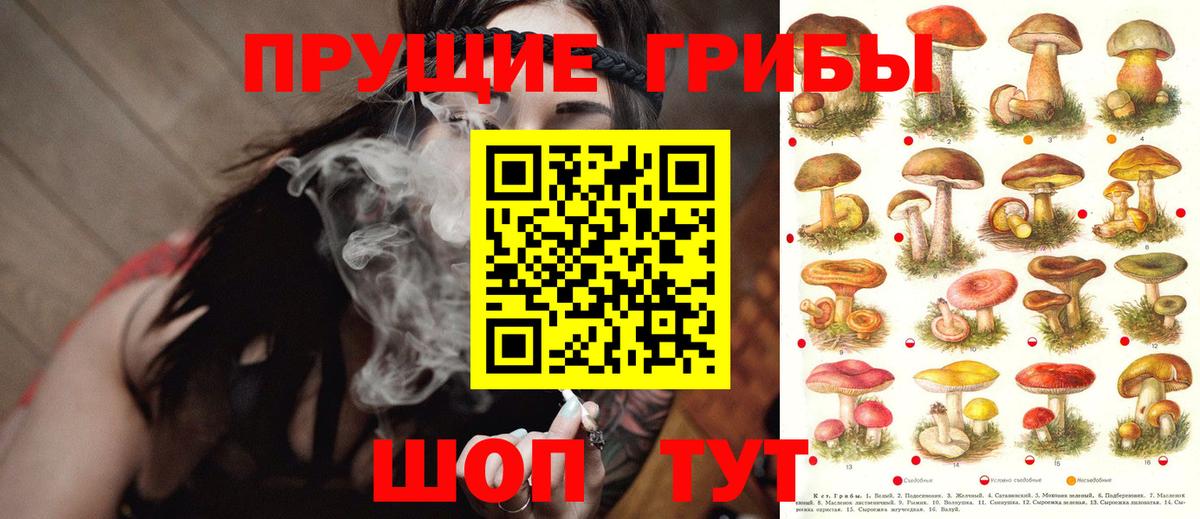 Галлюциногенные грибы мицелий Новый Уренгой
